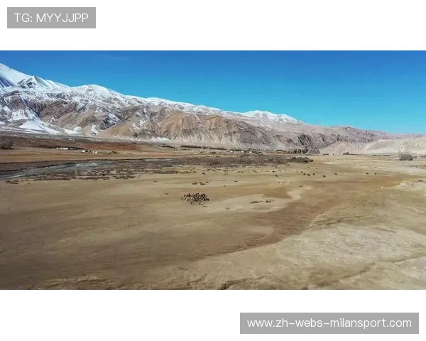 “高原冲刺：雪山顶上的极峰行动”，雪山顶端